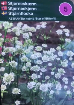 Stjerneskærm 'Star Of Billion'®