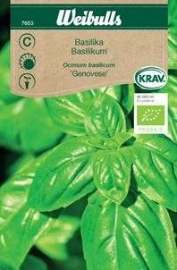 Basilikum, økologisk