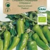 Chilipeber `Padron`, økologisk