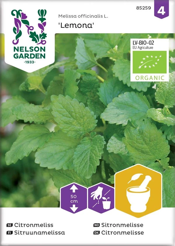 Citronmelisse 1 Citronmelisse