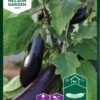 Aubergine
