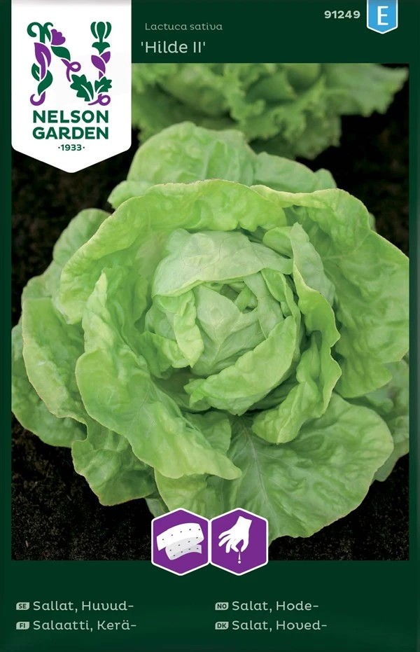 Hovedsalat 1 Hovedsalat