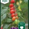 Tomat, Kirsebær-, Vespolino F1