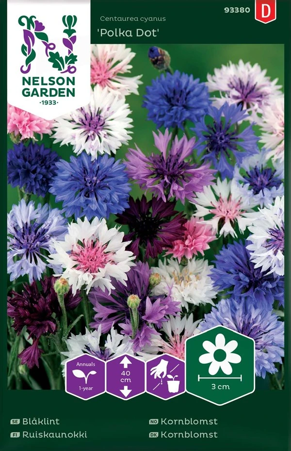 Kornblomst 1 Kornblomst