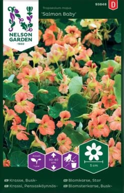Buskblomsterkarse, Salmon Baby