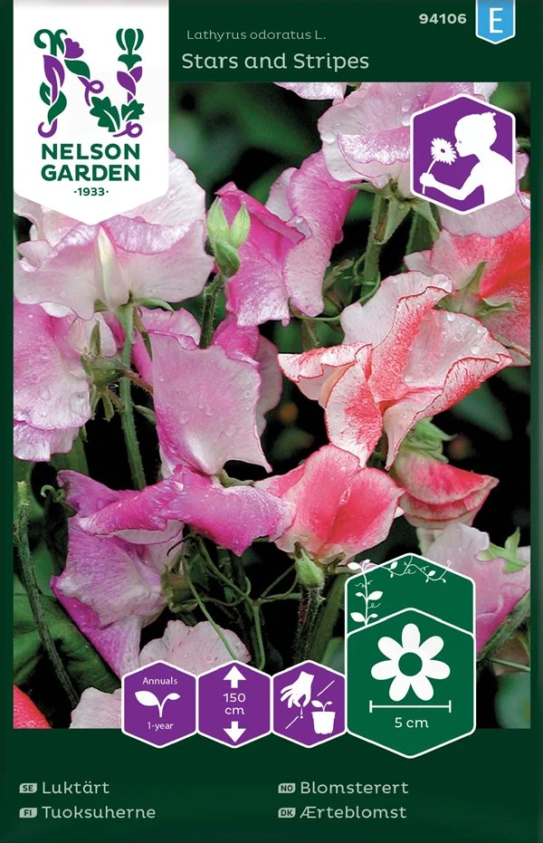 Ærteblomst 1 Ærteblomst