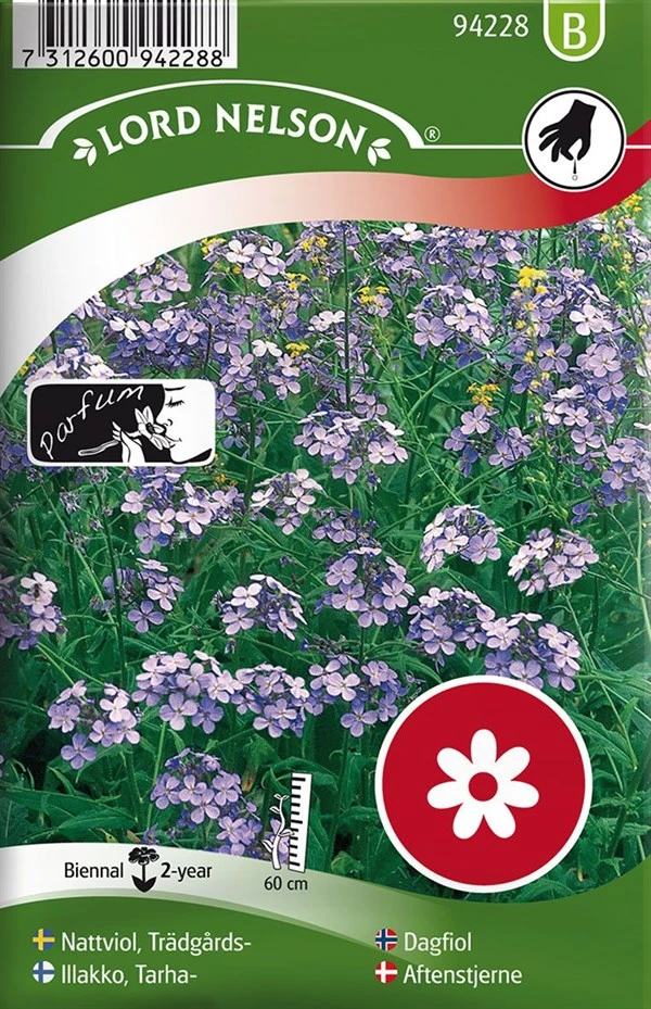 Almindelig Aftenstjerne 1 Almindelig Aftenstjerne