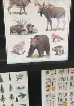 A4 Plakater Fra Koustrup Og Co