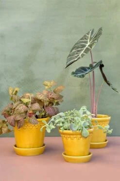 Københavner Potte,12 Cm, Glazed, Yellow Amber, Inkl. Underskål