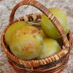 Blomme "Quillins Reine Claude" 1 Blomme "Quillins Reine Claude"