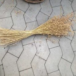 Hør I Bundt - Natur