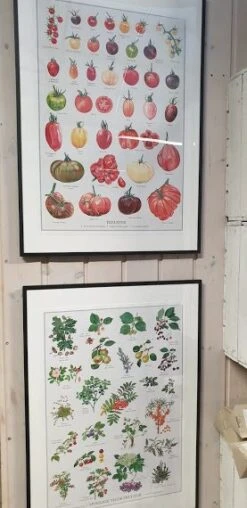 Plakat A2 Størrelse