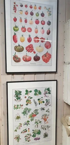 Plakat A2 Størrelse 1 Plakat A2 Størrelse