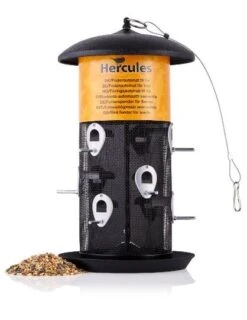 Fuglefoderautomat Til Frø