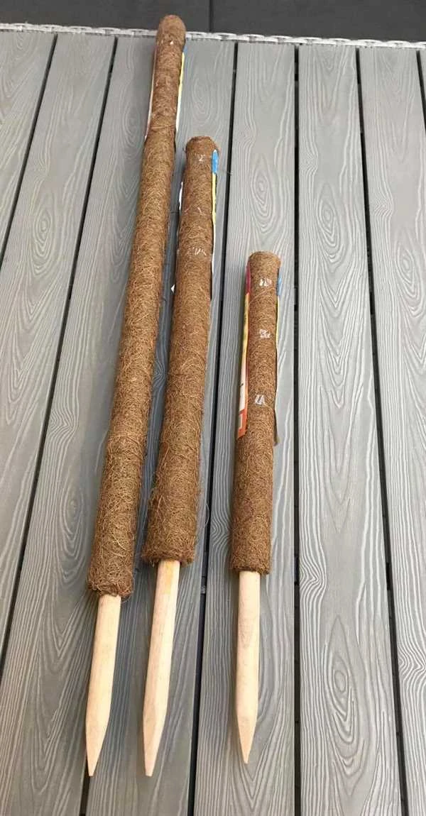 Kokosstok Til Stueplanter 1 Kokosstok Til Stueplanter